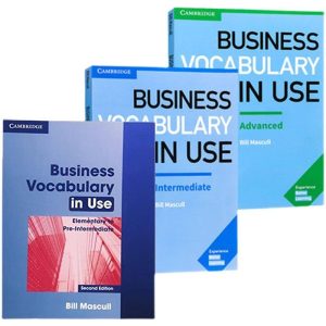 business vocabulary in use 3