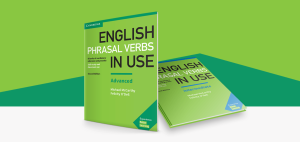 pharasal verbs in use